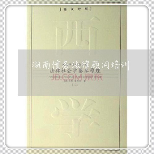 湖南债务法律顾问培训/2023061774725