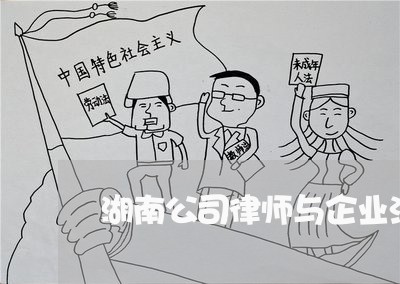 湖南公司律师与企业法律