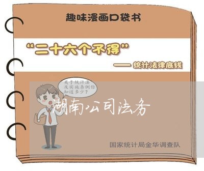 湖南公司法务 湖南公司法务