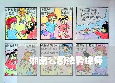 湖南公司法务律师 湖南公司法务律师