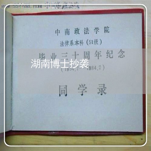 湖南博士抄袭