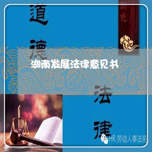 湖南发展法律意见书 湖南发展法律意见书