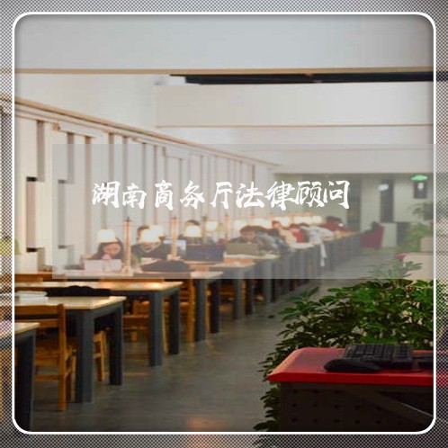 湖南商务厅法律顾问/2023061792625