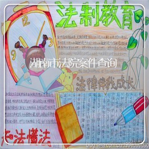 湖南市法院案件查询