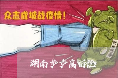 湖南步步高诉讼