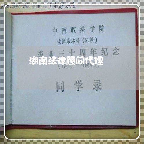 湖南法律顾问代理/2023061795739