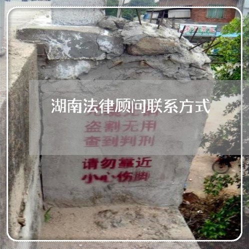湖南法律顾问联系方式/2023061836142