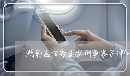 湖南益阳专业办刑事案子律师