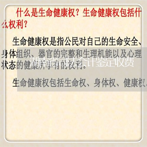 湖南省司法会计鉴定收费