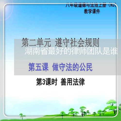 湖南省最好的律师团队是谁/2023060284168