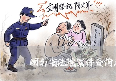 湖南省法院案件查询系统