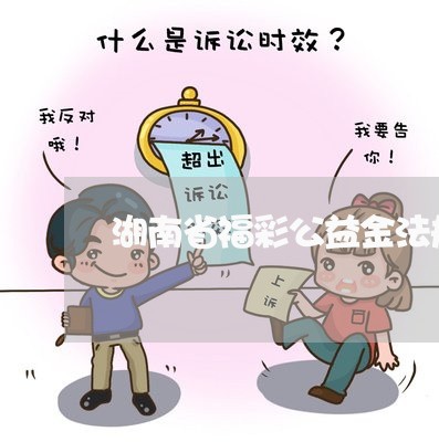 湖南省福彩公益金法规