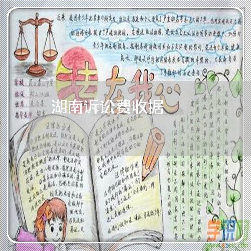 湖南诉讼费收据
