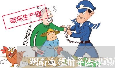 湖南远程指导法律顾问联系人