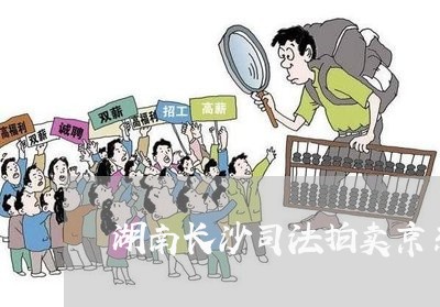 湖南长沙司法拍卖京东网 湖南长沙司法拍卖京东网