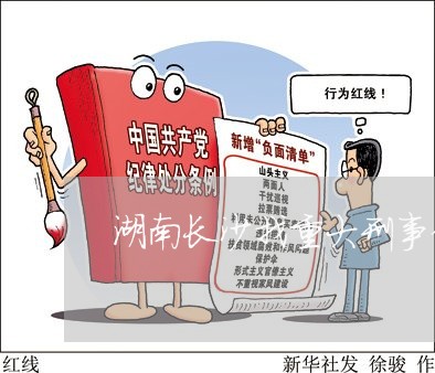 湖南长沙找重大刑事律师