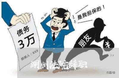 湖州法院辞职 湖州法院辞职