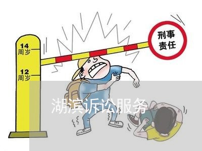 湖滨诉讼服务