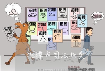 湘潭市司法拍卖