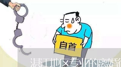 湛江地区专业的离婚律师服务