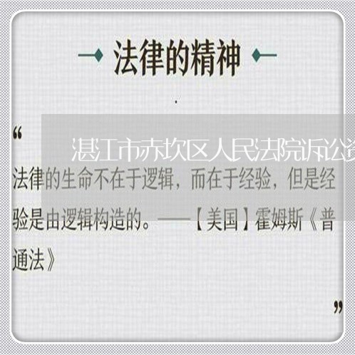 湛江市赤坎区人民法院诉讼资产网