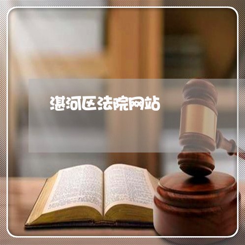 湛河区法院网站