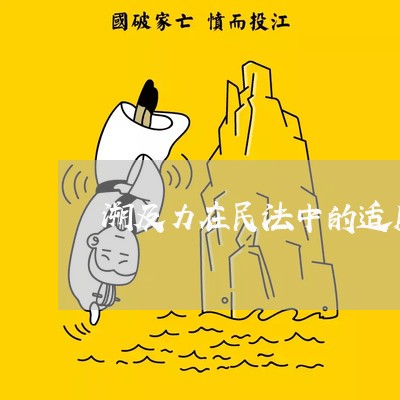 溯及力在民法中的适用 溯及力在民法中的适用