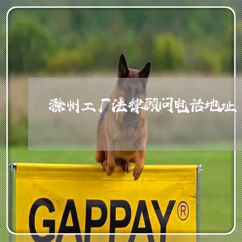 滁州工厂法律顾问电话地址/2023061846171