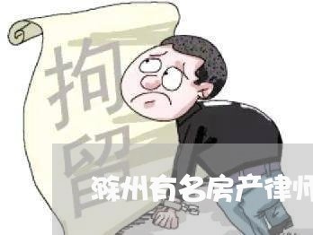 滁州有名房产律师事务所/2023060841515