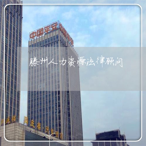 滕州人力资源法律顾问 滕州人力资源法律顾问