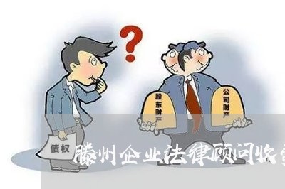 滕州企业法律顾问收费情况/2023061942594 滕州企业法律顾问收费情况/2023061942594