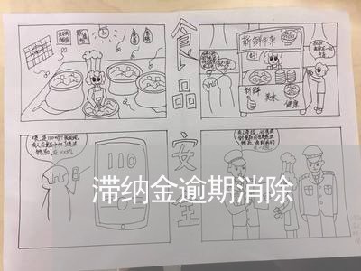 滞纳金逾期消除