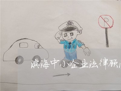 滨海中小企业法律顾问 滨海中小企业法律顾问