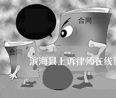 滨海县上诉律师在线咨询