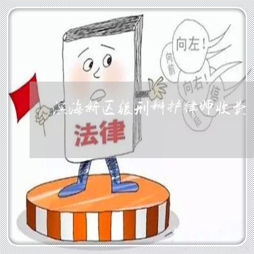 滨海新区缓刑辩护律师收费