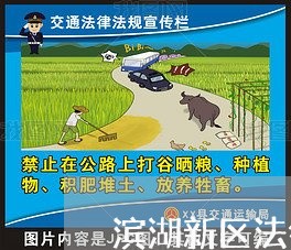 滨湖新区法律顾问收费情况/2023061772715