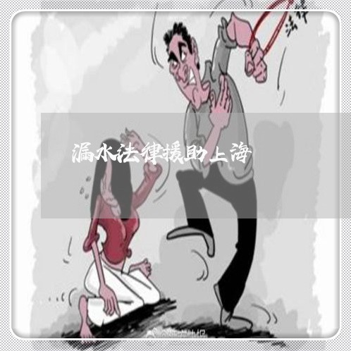 漏水法律援助上海