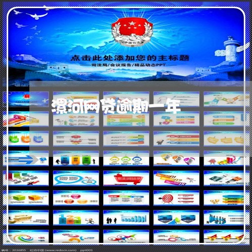 漯河网贷逾期一年