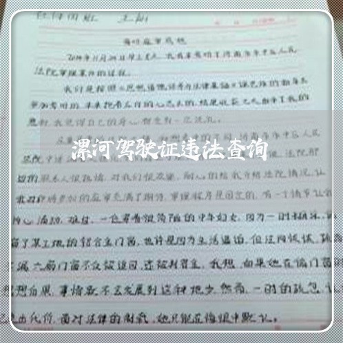 漯河驾驶证违法查询