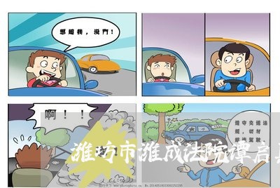 潍坊市潍成法院谭启真 潍坊市潍成法院谭启真