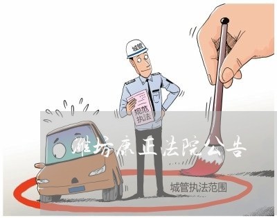 潍坊康正法院公告 潍坊康正法院公告