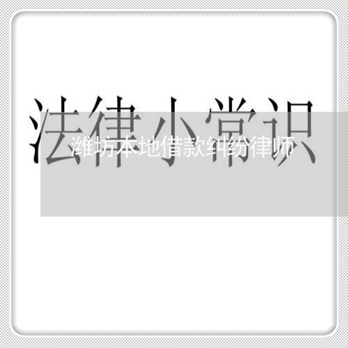 潍坊本地借款纠纷律师