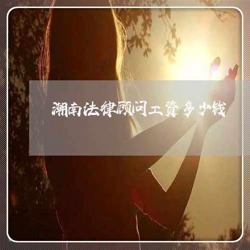 潮南法律顾问工资多少钱