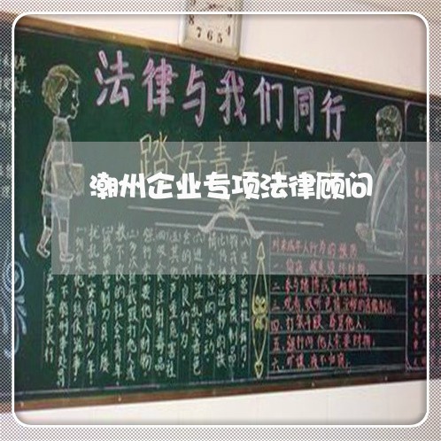 潮州企业专项法律顾问/2023061707147