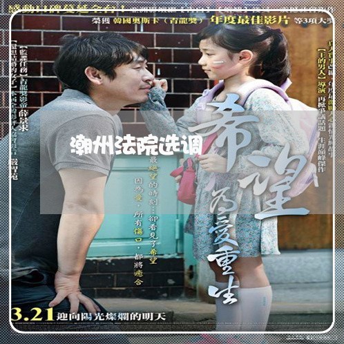 潮州法院选调 潮州法院选调