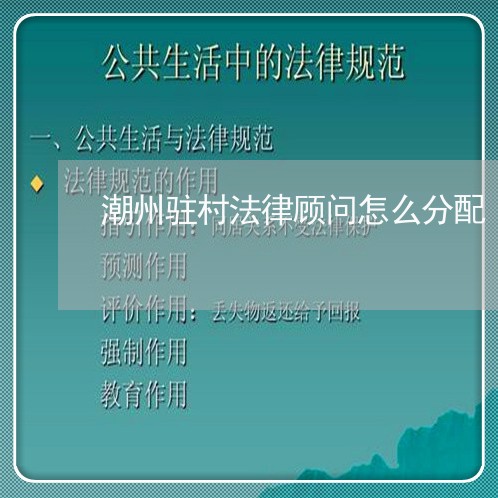 潮州驻村法律顾问怎么分配/2023061994129