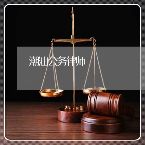 潮汕公务律师 潮汕公务律师