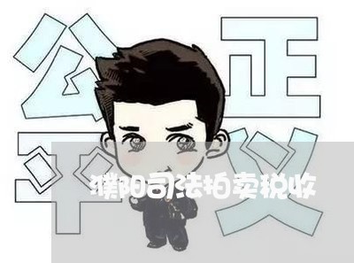 濮阳司法拍卖税收