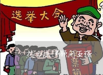 热力法律顾问王强