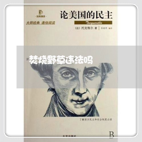 焚烧野草违法吗